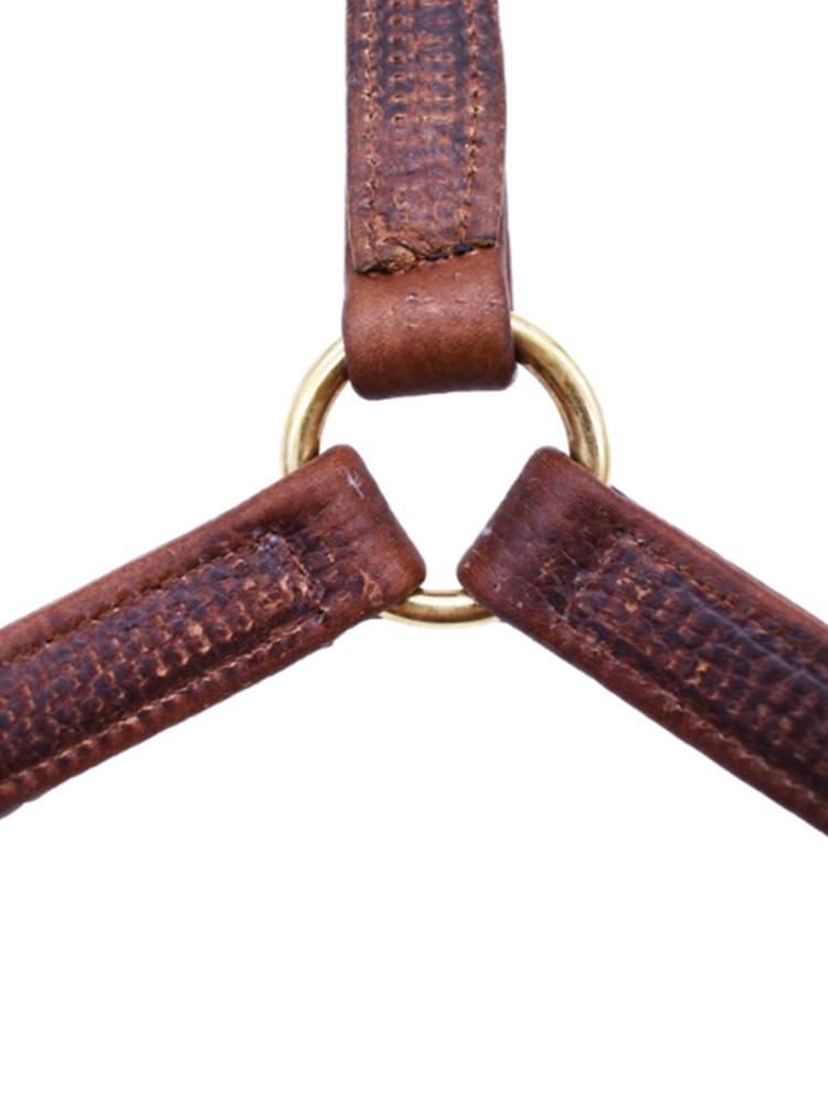 2024 new equestrian cage Silver Royal horse cage leader horses equipment faucet dermis buckle adjustment cage