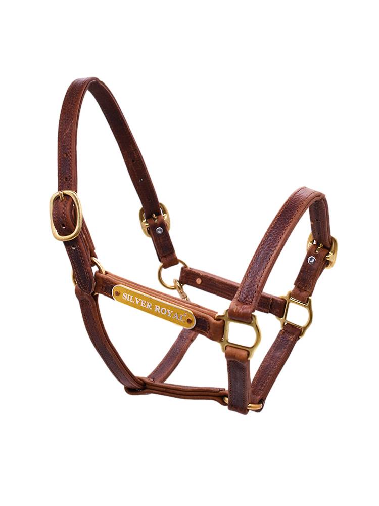 2024 new equestrian cage Silver Royal horse cage leader horses equipment faucet dermis buckle adjustment cage