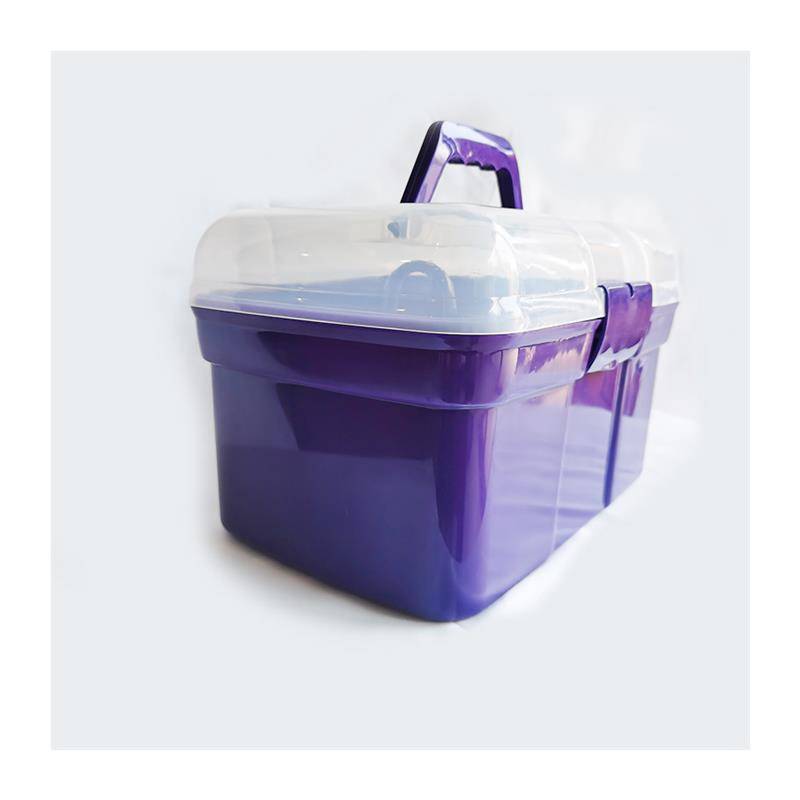 Pony-cleaning kit with a horse-washing kit and a ten-pack horse-brushing kit