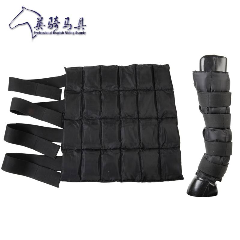 A horse with an ice bag for a leg and a leg for a horse