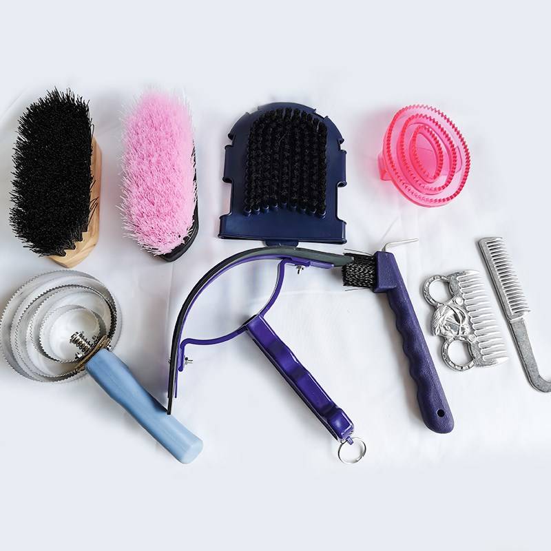 PONY-CLEANING KIT WITH A HORSE-WASHING KIT AND 10 HORSE-SWIPE Q-SWEETING KIT