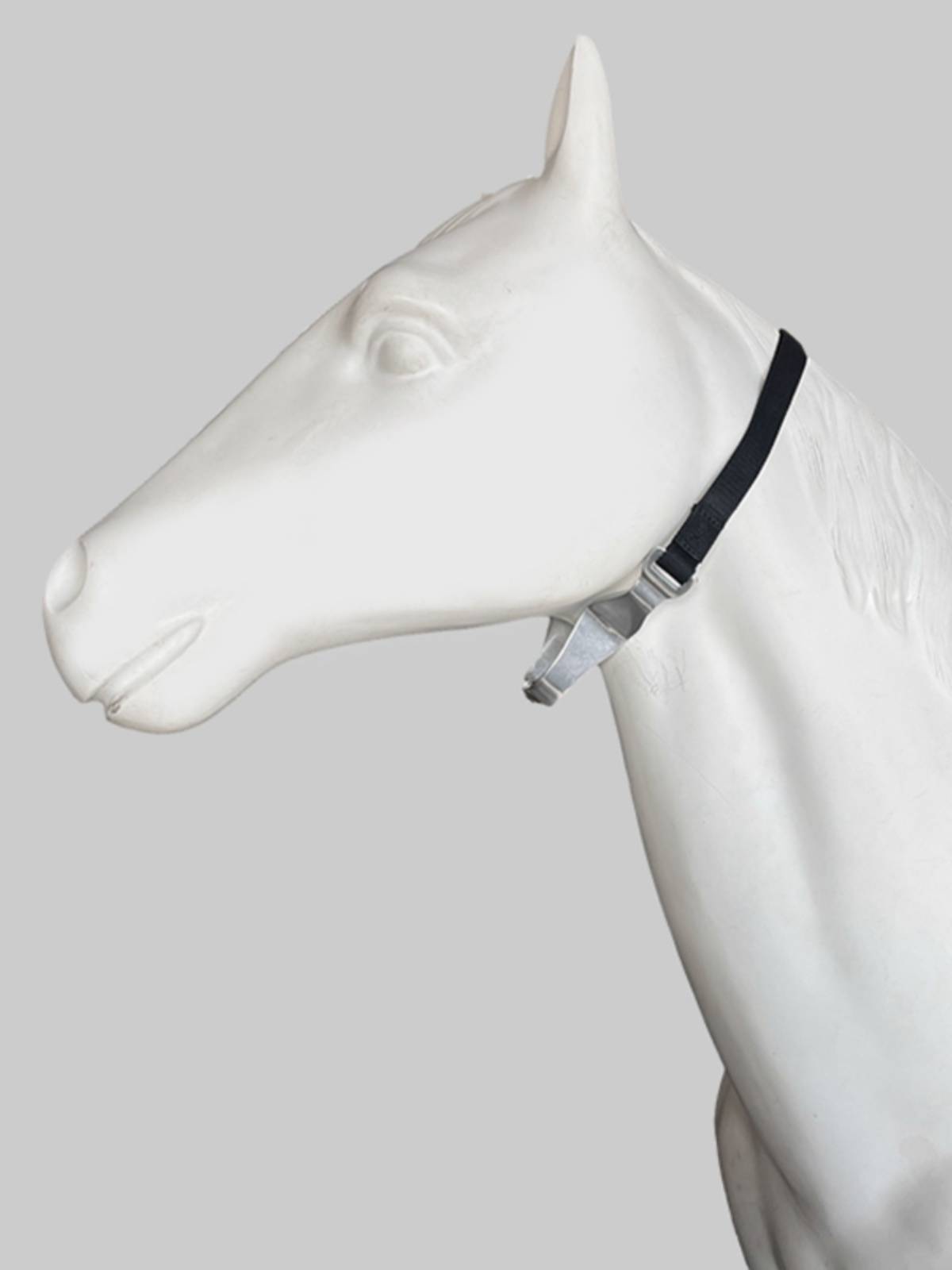 Horse-swallow-swallow-swallow-swallow-swallow-swallow-swallow-swallow-swallow-swallow-swallow-swallow-swallow-swallow-swallow-swallow-swallow-swallow-swallow-swallow-swallow-swallow-swallow-swallow-swallow