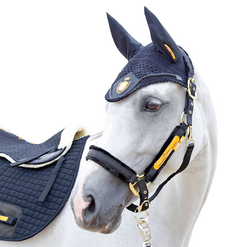Cavassion Embroidery Malta Malcum Horse Equipment Cavaliers Ride Mortar Rock Malaysia 8216068