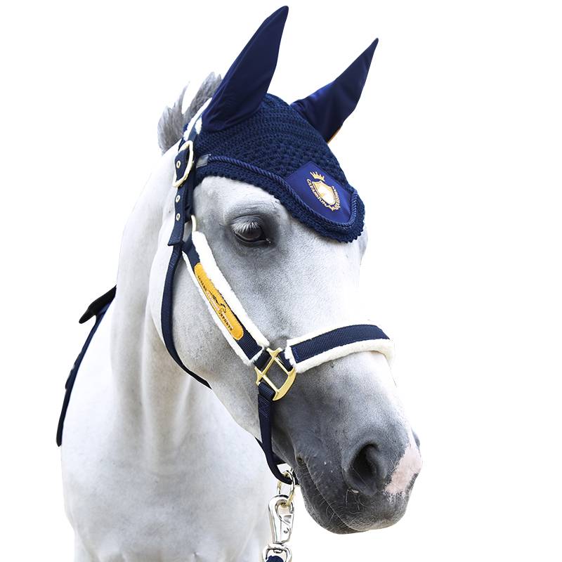 Cavassion Embroidery Malta Malcum Horse Equipment Cavaliers Ride Mortar Rock Malaysia 8216068