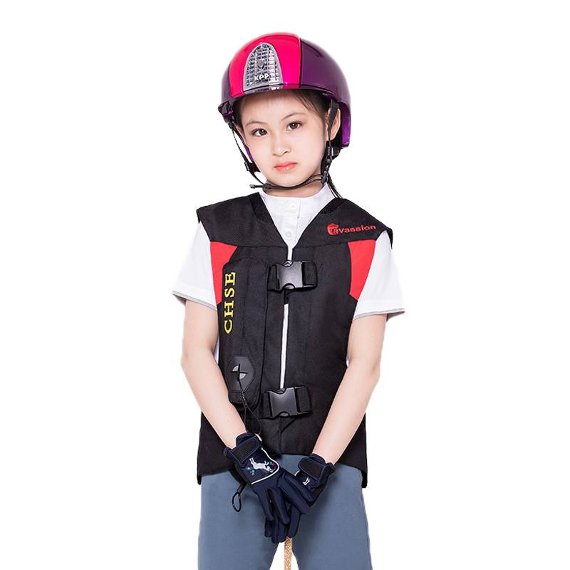 Cavassion Equestrian Armor Armor Excalities Equipment Equestrian Rider Armor Armor 8108018