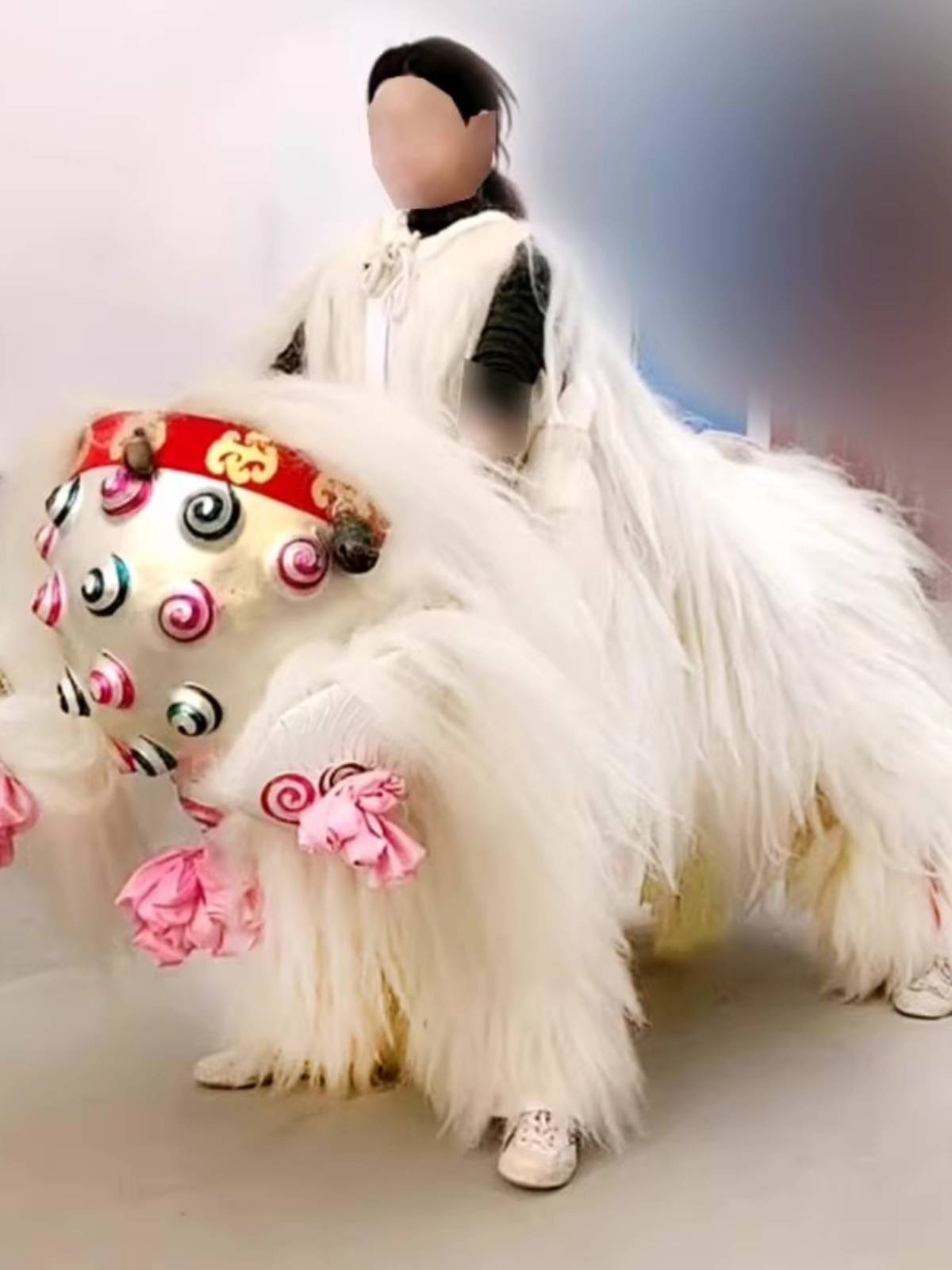 Lion dance props The whole set of white yak, lion dance dance duo duo thickened lion skin net red little white northern lion, a full set of adults