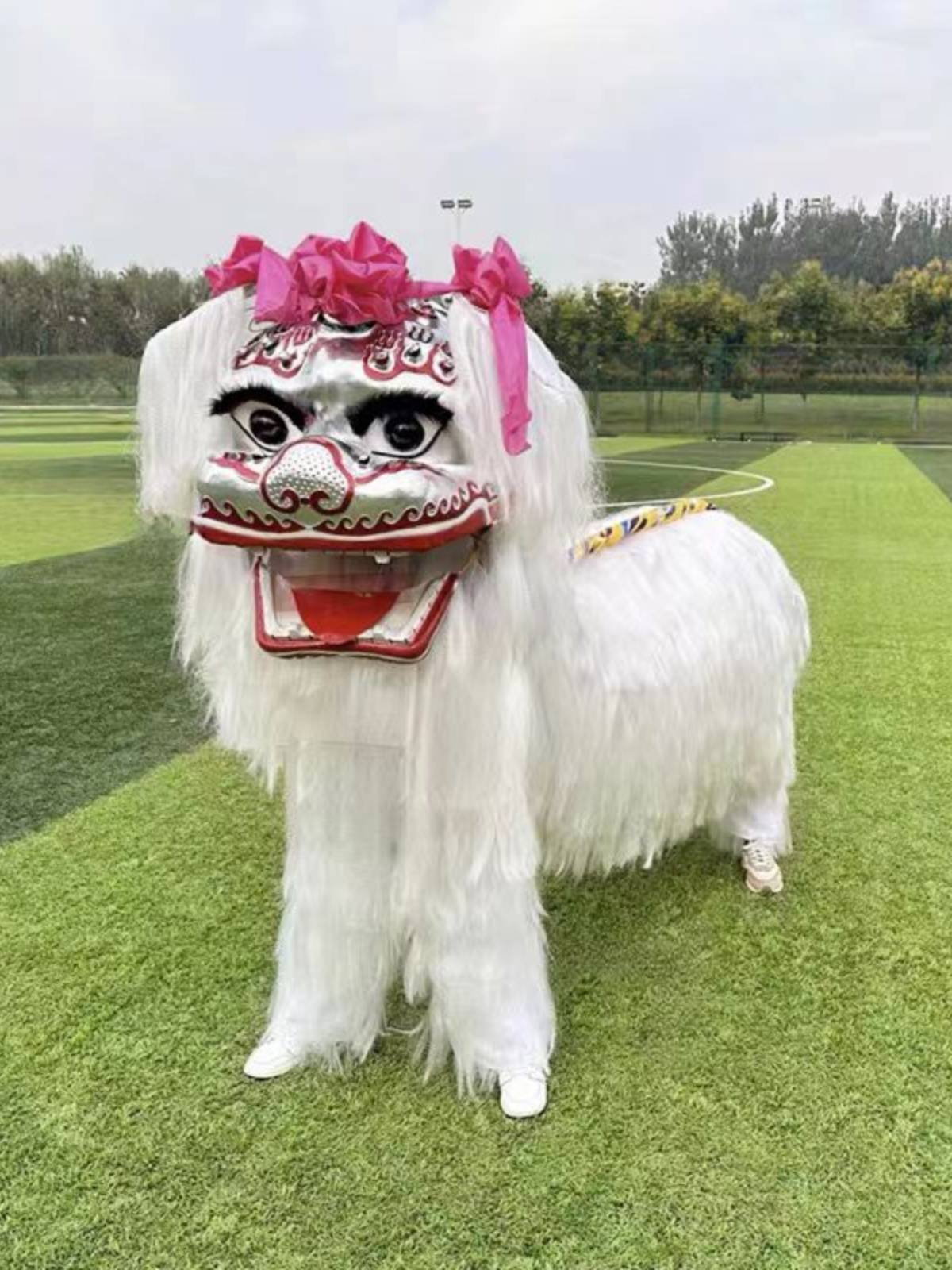 Lion dance props The whole set of white yak, lion dance dance duo duo thickened lion skin net red little white northern lion, a full set of adults