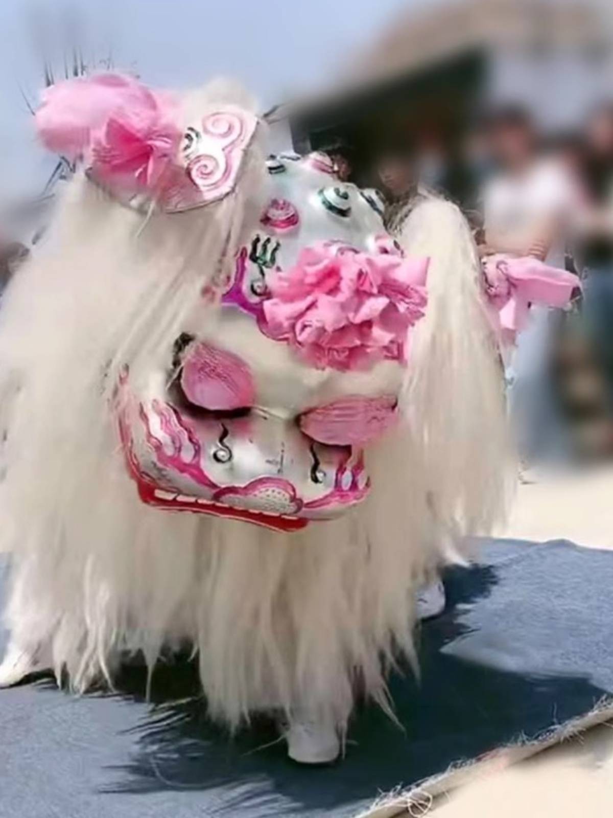 Lion dance props The whole set of white yak, lion dance dance duo duo thickened lion skin net red little white northern lion, a full set of adults