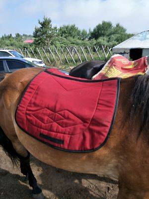 saddling horse horses, horses, horses sweat drawer horse sweat pads big and small saddling pads, durable love horse horses horses