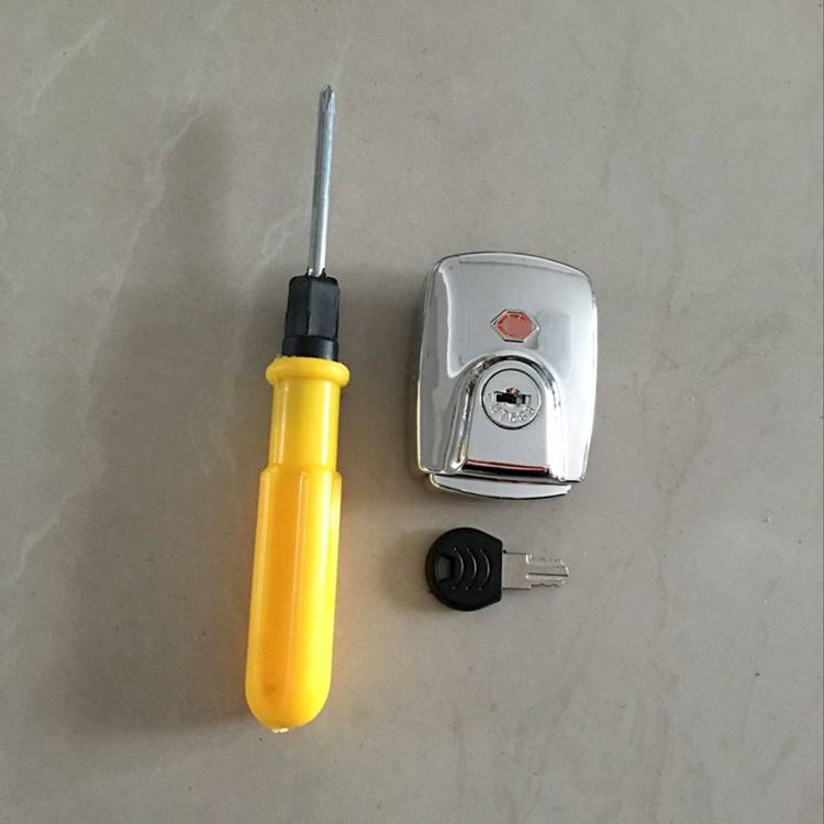 One silver lock