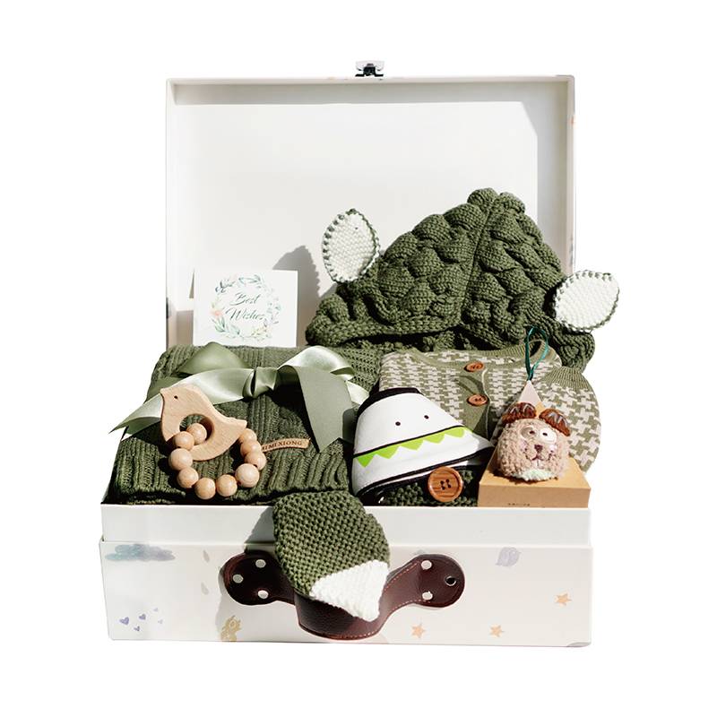 Baby gift box four seasons single -layer breathable super soft full moon baby gift dinosaur newborns pure cotton set