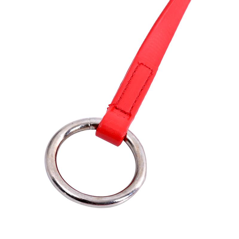 HANDLE PVC FRONT-BRANCH PVC HORSE-TO-CAP-TO-CAP-TO-CAP-TO-CAP-TO-CAP-TO-CAP-TO-CAP-TO-CAP-TO-CAP-TO-CAP-TO-CAP-TO