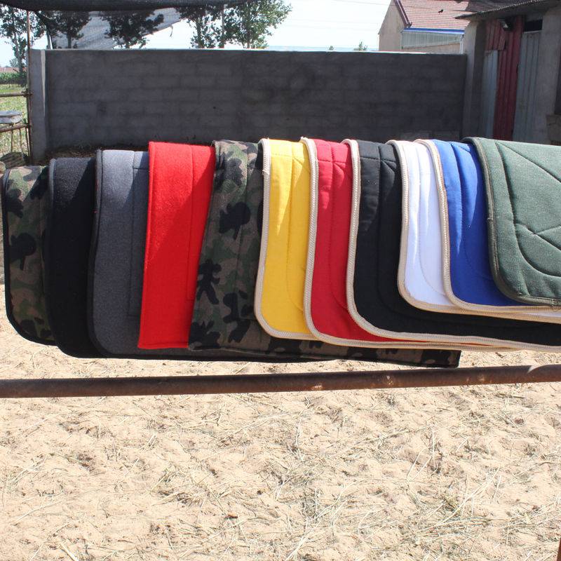 Ride ass and saddle pads to combine the horse-scrambling kit for tourists