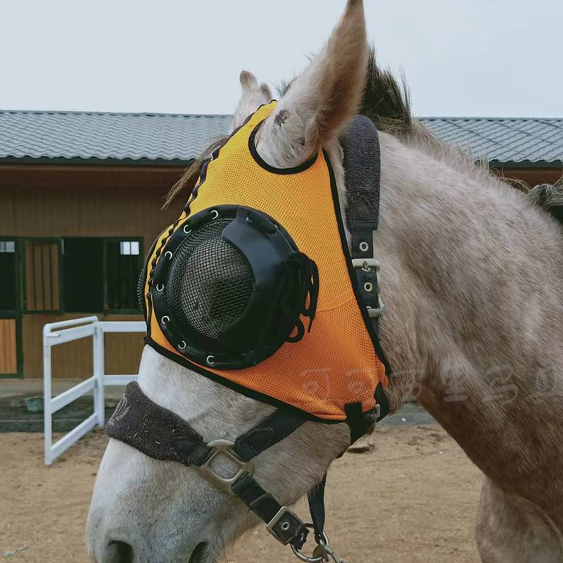 Orange steel net eye patch