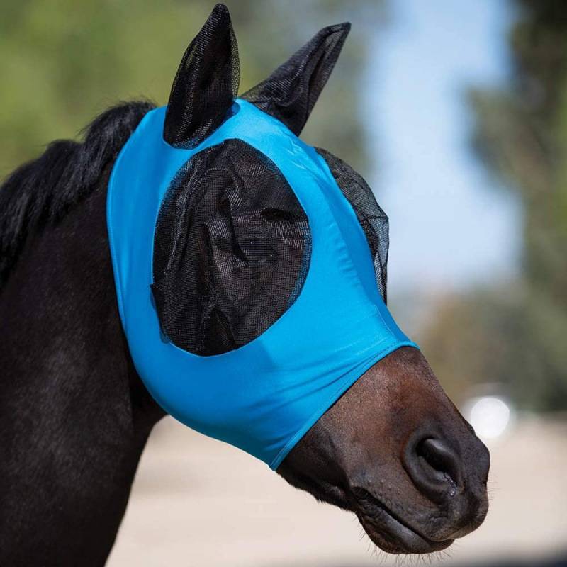 A multi-printed horse mask to protect an integrated horse mask