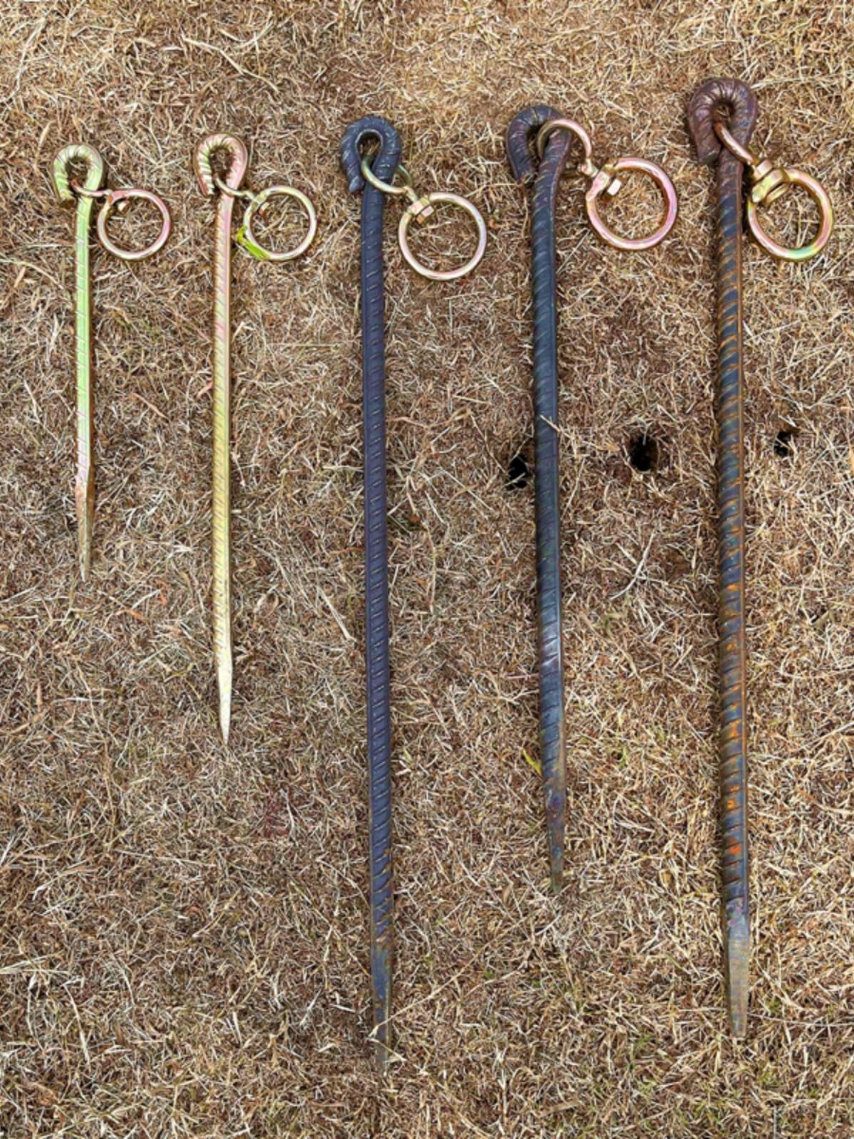 Sniffed steel stakes nailed to the bull and dog to the sheep and horse tortoise