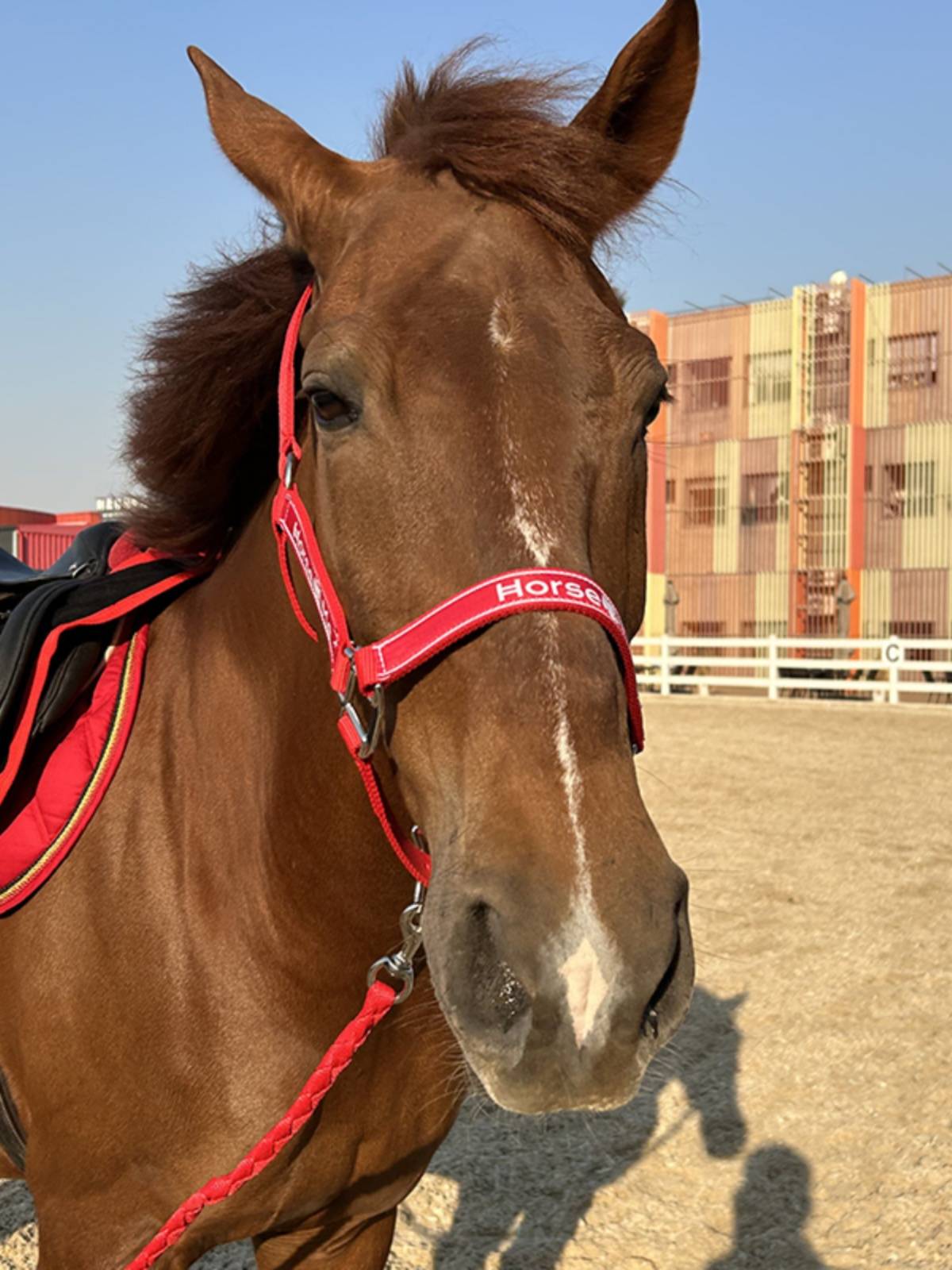 Horse2me horse cage Gara rope horses and rope rope wear -resistant horse supplies equestrian sports