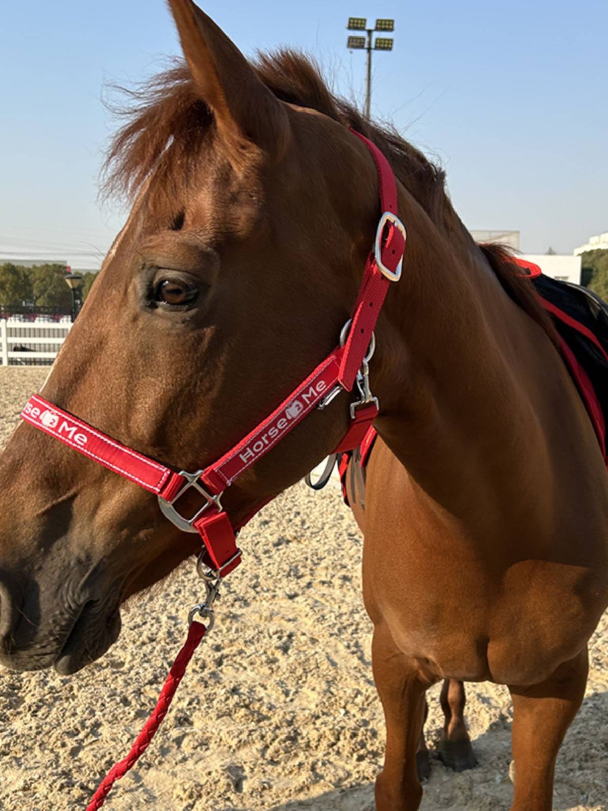 Horse2me horse cage Gara rope horses and rope rope wear -resistant horse supplies equestrian sports