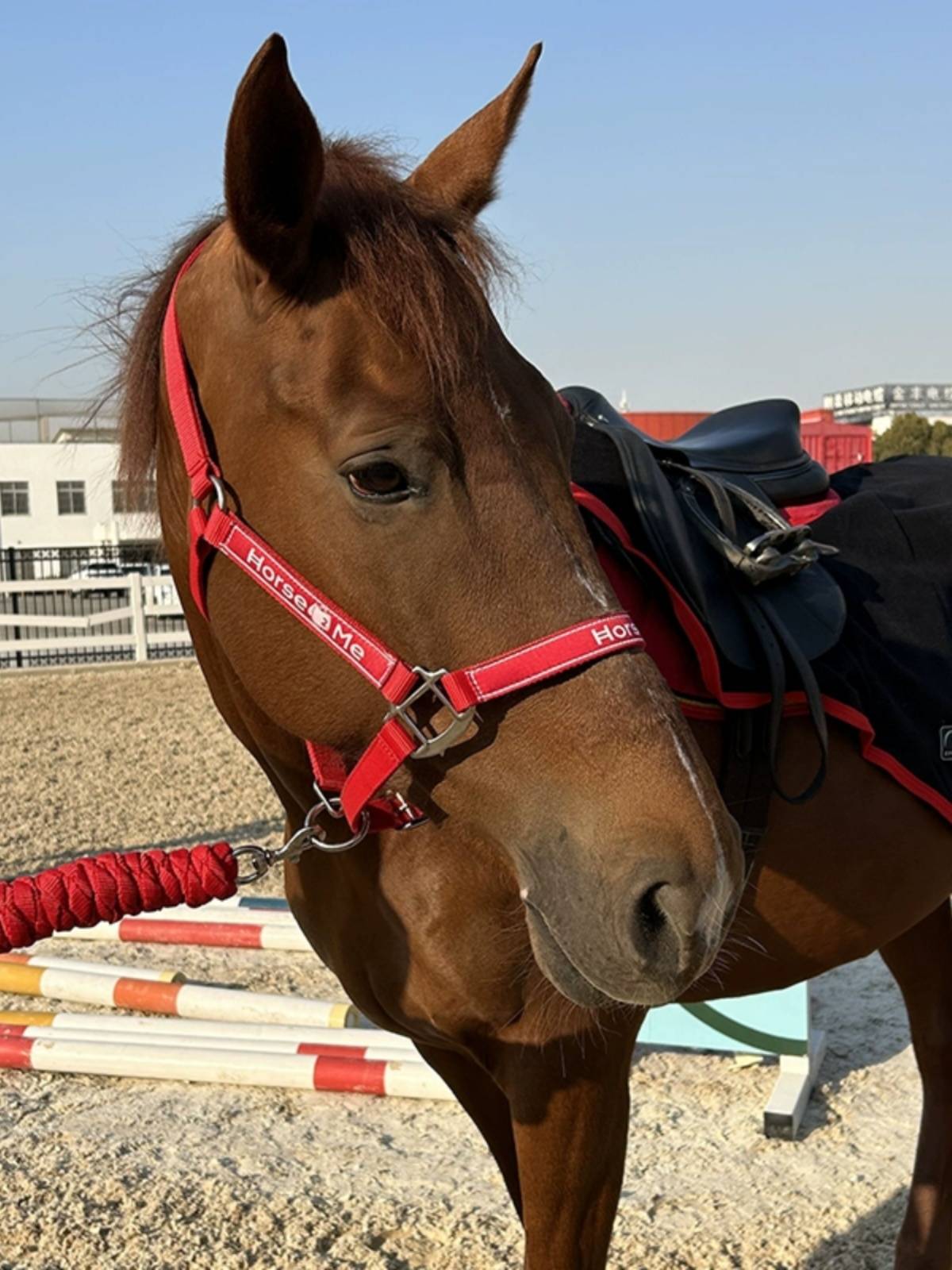 Horse2me horse cage Gara rope horses and rope rope wear -resistant horse supplies equestrian sports