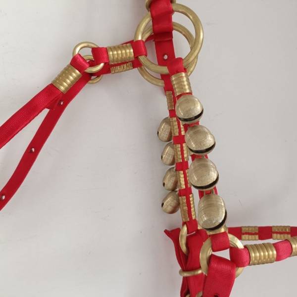 Horse head, horse trap, copper ring, up and down
