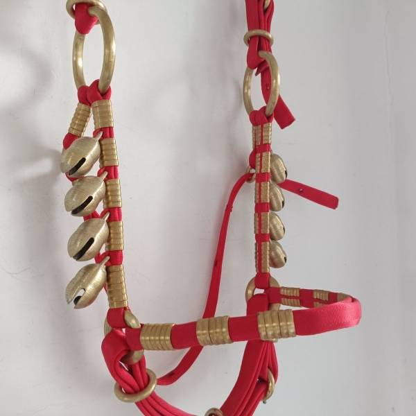 Horse head, horse trap, copper ring, up and down