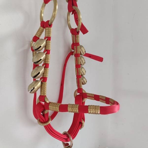 Horse head, horse trap, copper ring, up and down