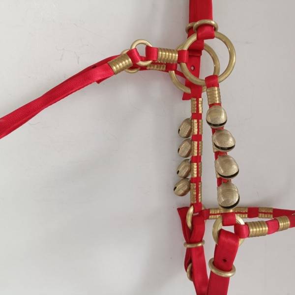 Horse head, horse trap, copper ring, up and down