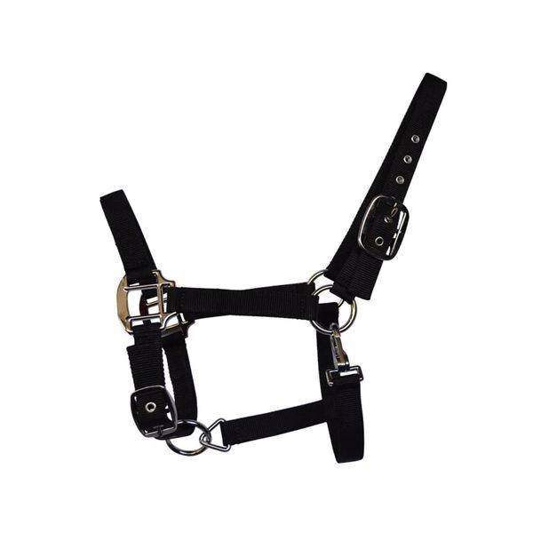 horse cage equestrian horses and horses, thickened hardware buckle horses, unsatisfactory horses can be returned