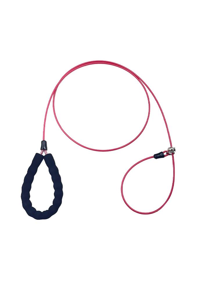 Dog traction rope explosion dog rope P rope dog chain puppies small dog medium dog large dog P chain dog collar