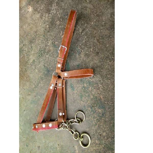 The horse head is a handy-man's-man's-man