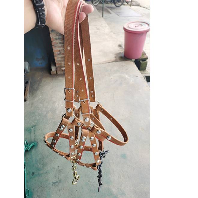 The horse head is a handy-man's-man's-man