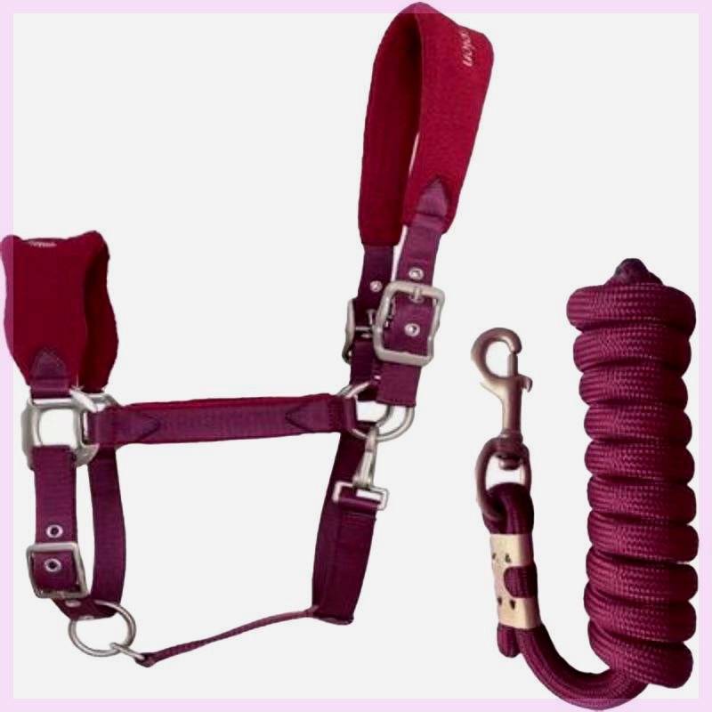 Shaking pill -anti -grinding horse cage head+2 meters of horsepower rope set can adjust the new product