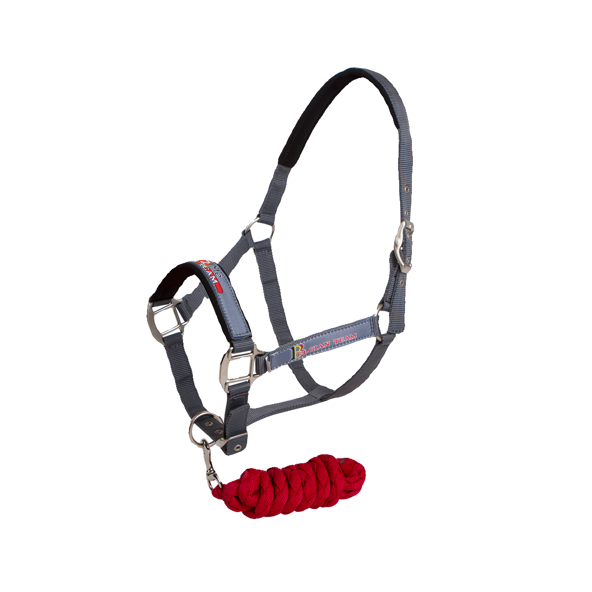 Horse2me Belgian national team horse tado romed horse rope horses horses horses with horses horses horses