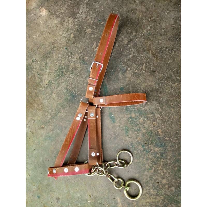 Horse head, horse head, dragon head, horse back pad, horse saddle pad, horsetail root, horsetail belt, horse gear