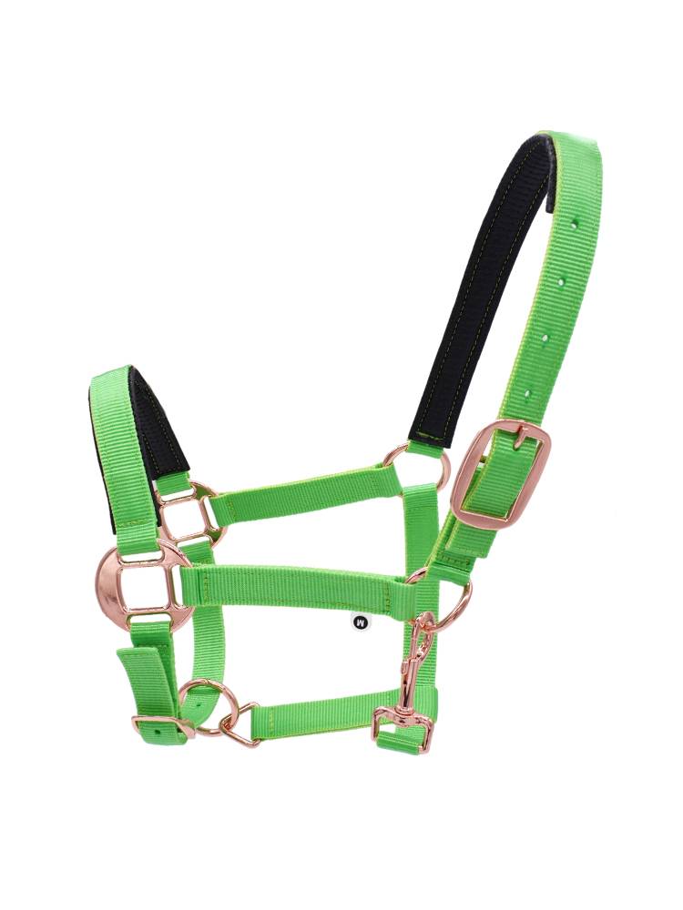 Century Jiudu Margotone Products Gu Ma Cado Together Set Nylon Malaysia Tauisya Taunda