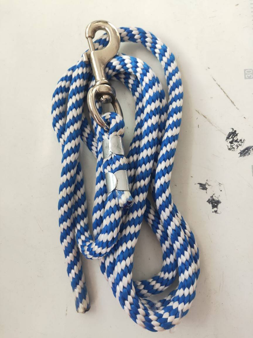 A special-priced horse for a long horse tow rope