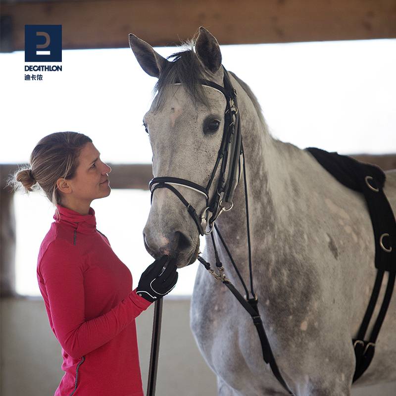 DECACON, TOWED ROPES, TRAINING FOR THE 8-METRE HORSE-AND-CARRIAGE SPORTS MAHJONG HORSE