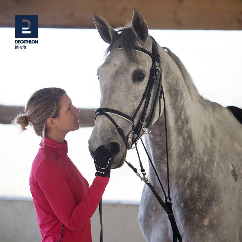 DECACON, TOWED ROPES, TRAINING FOR THE 8-METRE HORSE-AND-CARRIAGE SPORTS MAHJONG HORSE