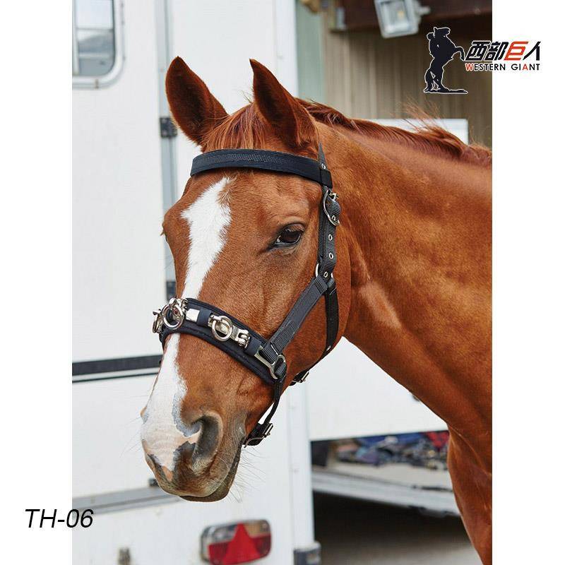 Horse tampons, troupe to teach the head of the cage