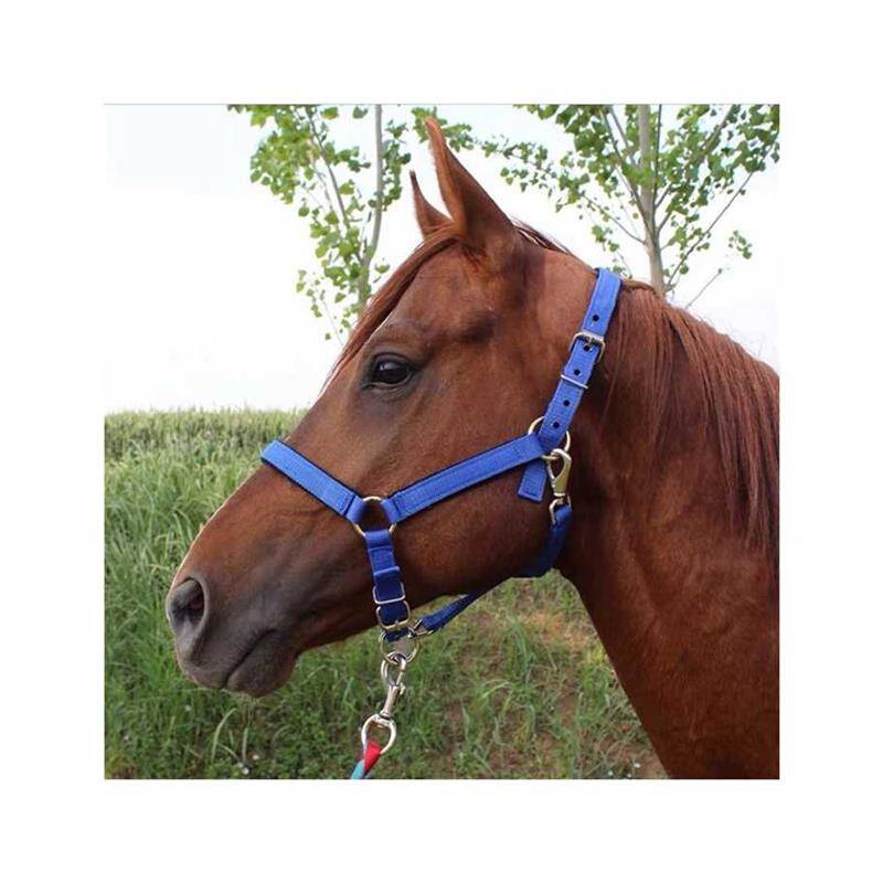 Juhao Equel's Horse Horse Horse Horse Horse Top Horse List Leading Horse Temperature Leading Bulls and Donkey Cage Set