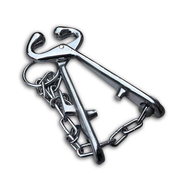 Bring a traction with a bull nasal clamp beef fixed beast with animal husbandry equipment, bull nose clip