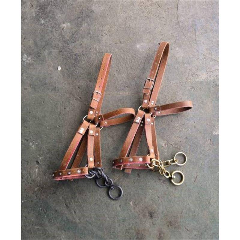 Selected donkey horses cage horse cage sets with chewing reins full set of horseshto horsettels, tuning horses