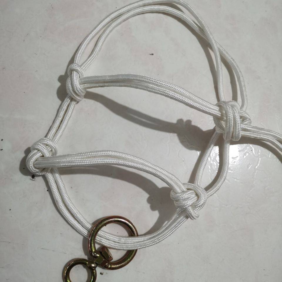 Mavericks dragon head calf horses horses hand -made horses donkeys, Simple Set Bull Rope Special Tibetan
