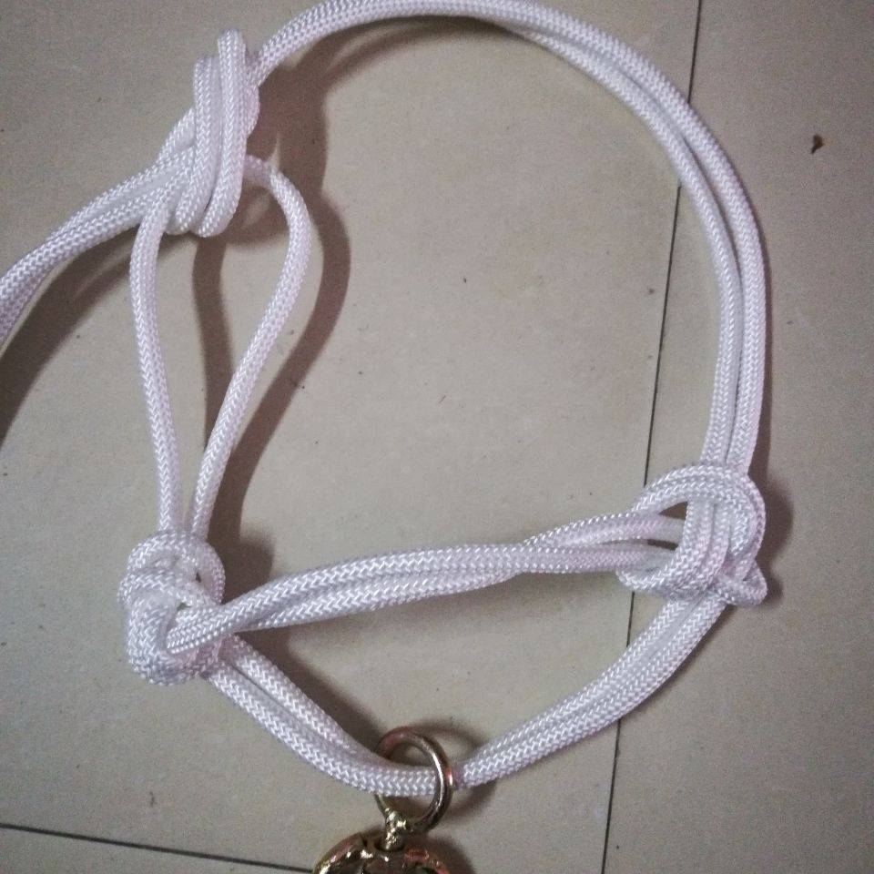 Mavericks dragon head calf horses horses hand -made horses donkeys, Simple Set Bull Rope Special Tibetan