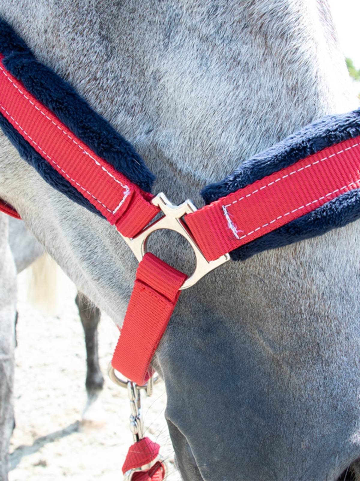 EPONA horse cage Gara horse rope horses horses horses horsepower equipment