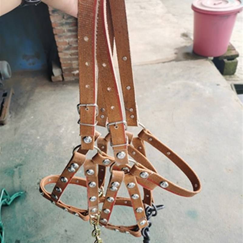Tie donkey horse mule artifact cage dragon set with chewing bolt, horses, horses, cow tope, saddle cushion tuning