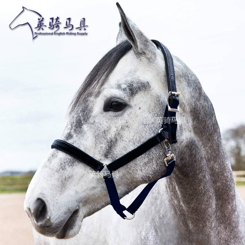 A horse-proof cage, an exit tail with a sand-proof pad, a horse-cave, a horse-riding kit