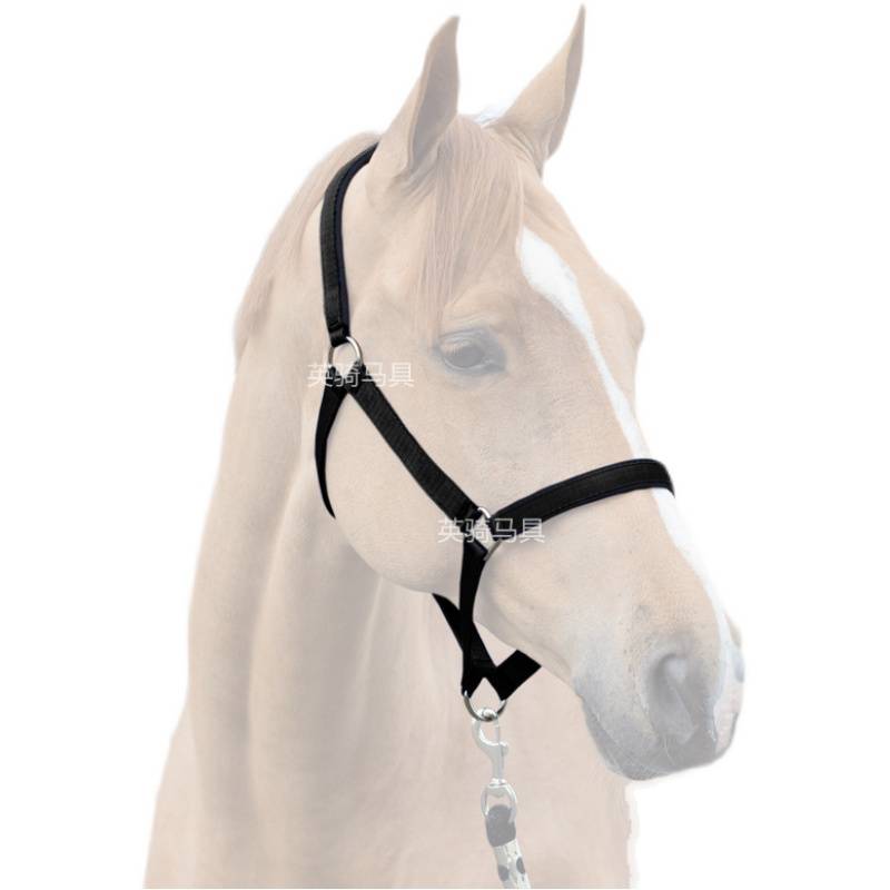 A horse-proof cage, an exit tail with a sand-proof pad, a horse-cave, a horse-riding kit