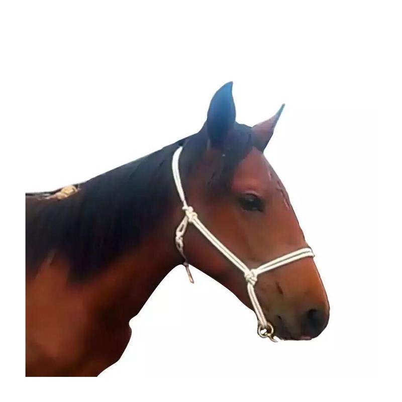 Purely hand -woven Malron Horse Horse Horse Horse Polk Donald Graphic Plus -Plus Equestrian Turning Horse Rope