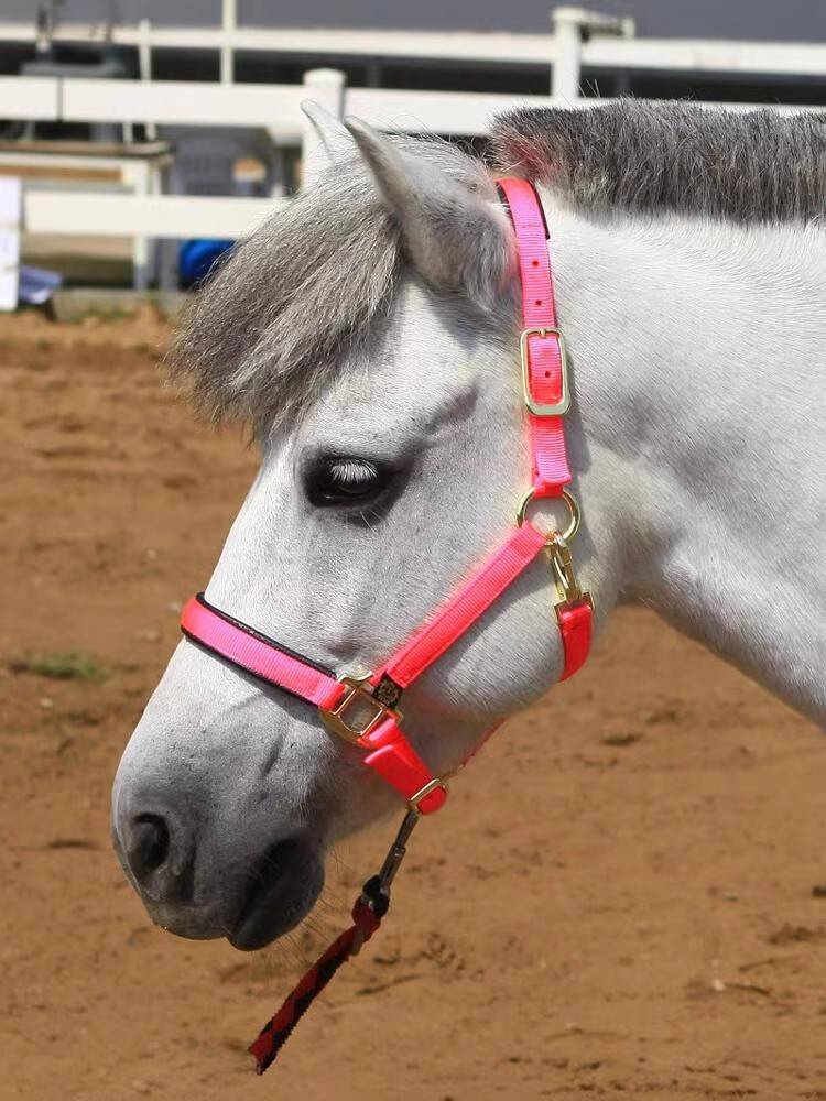 I'm a horse-scrambling horse-scrambling